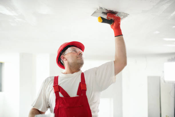 Best Ceiling Drywall Installation  in Kings Point, NY